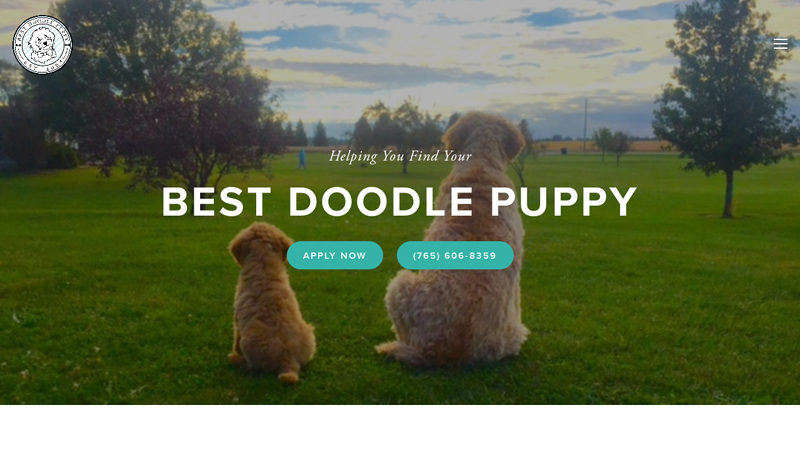 Premier Doodle Breeder | Best Doodle Puppy