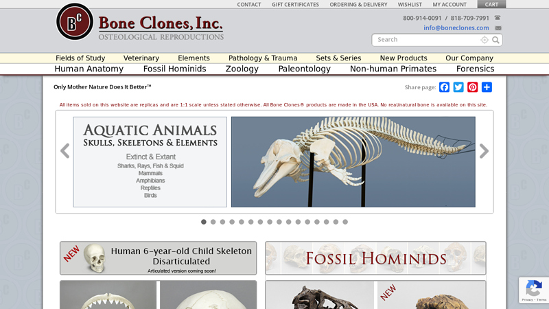 Bone Clones - Osteological Reproductions