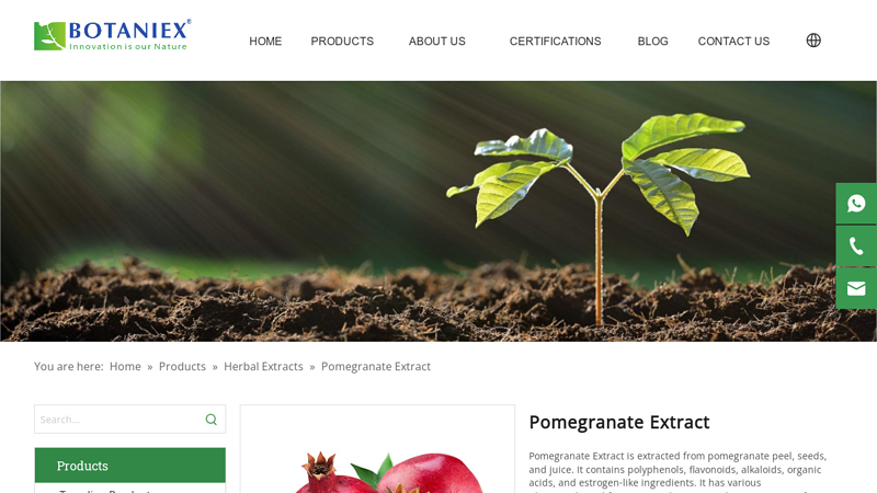 Image of Wholesale Pomegranate Extract Manufacturers, Manufacturing Company ...