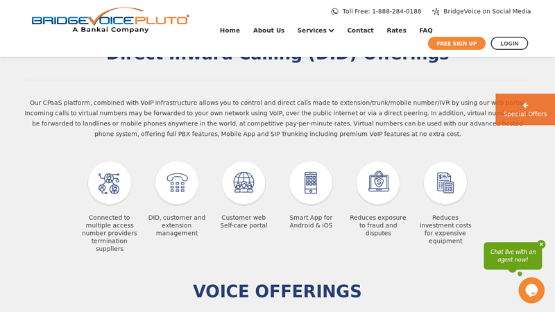 Bridgevoice Pluto - Connecting Retailers to Operators Globally