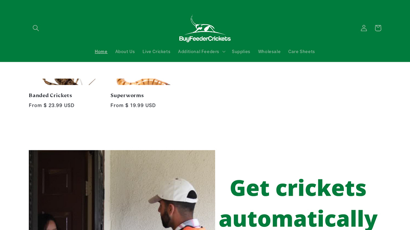 Buy Live Feeder Crickets Online | Affordable Prices & Fast Shipping C BuyFeederCrickets.com