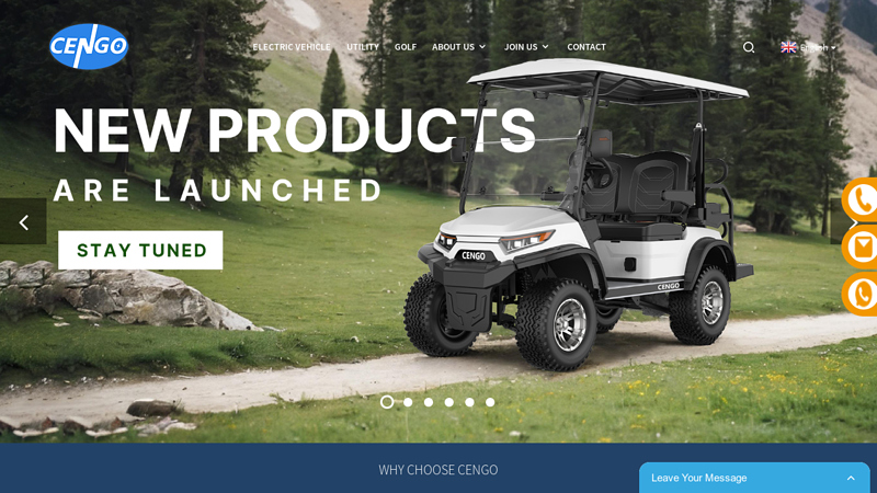 professional golf cart manufacturers supply OEM and ODM golf kart