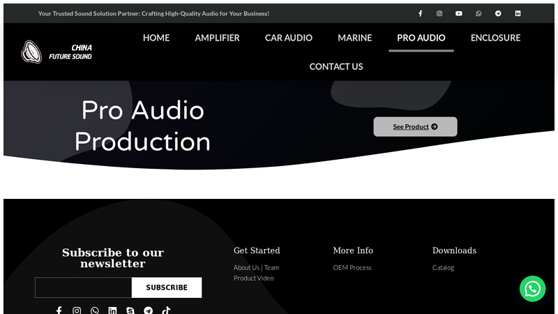 Image of Best Professional Audio Suppliers and Manufacturers in China