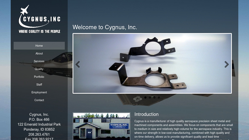 Cygnus, Inc.