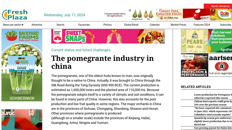 Image of The pomegrante industry in china