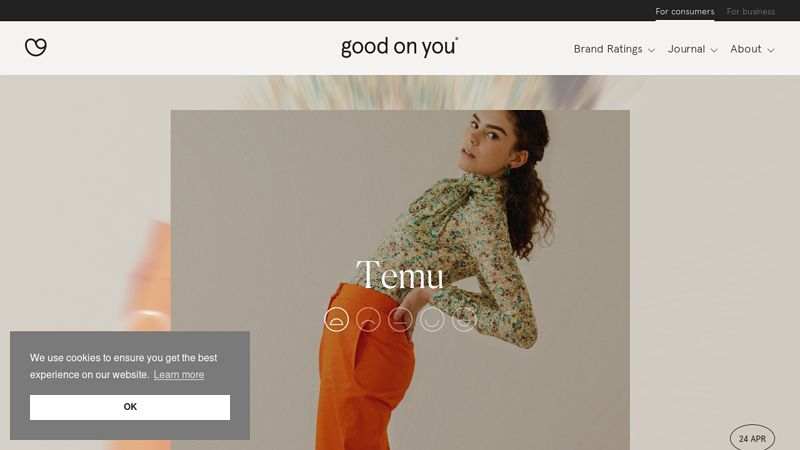 Image of How Ethical Is Temu? Why We Rate the Brand 