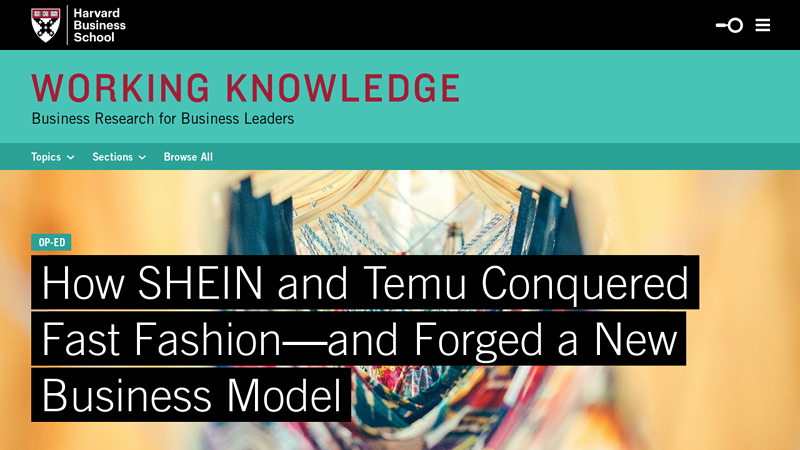 Image of How SHEIN and Temu Conquered Fast Fashion鈥攁nd Forged a New Business ...