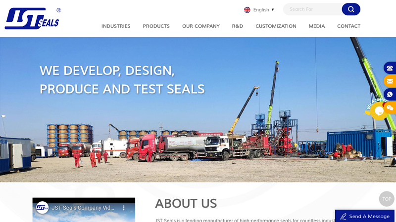 Hydraulic Seals,Oil & Gas Seals,API6D & LNG Seals -JST-Seals