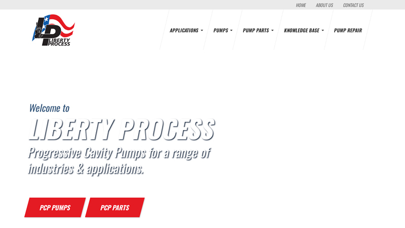 Progressive Cavity Pumps and Pump Parts - Liberty Process Equipment