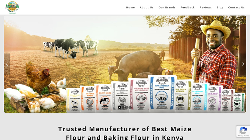 Best maize flour in Kenya | Best Atta in Kenya : Maisha Flour Mills Ltd