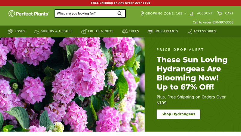 Buy Plants Online: Trees, Shrubs & More | Perfect Plants