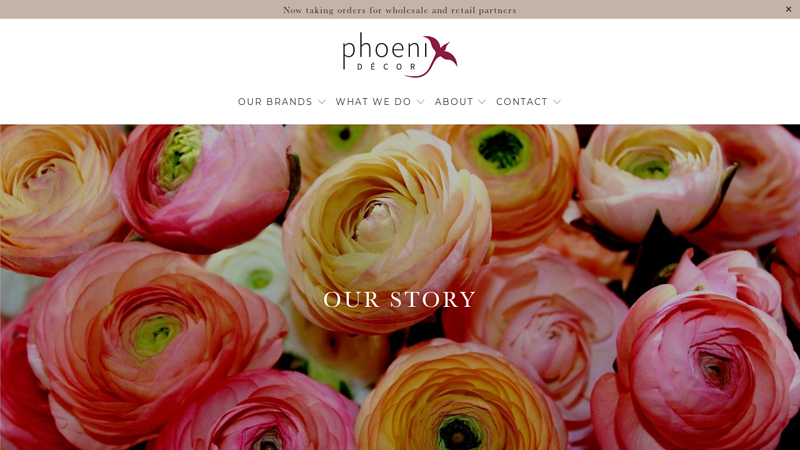 Image of Our Story | Phoenix Decor Family Of Brands