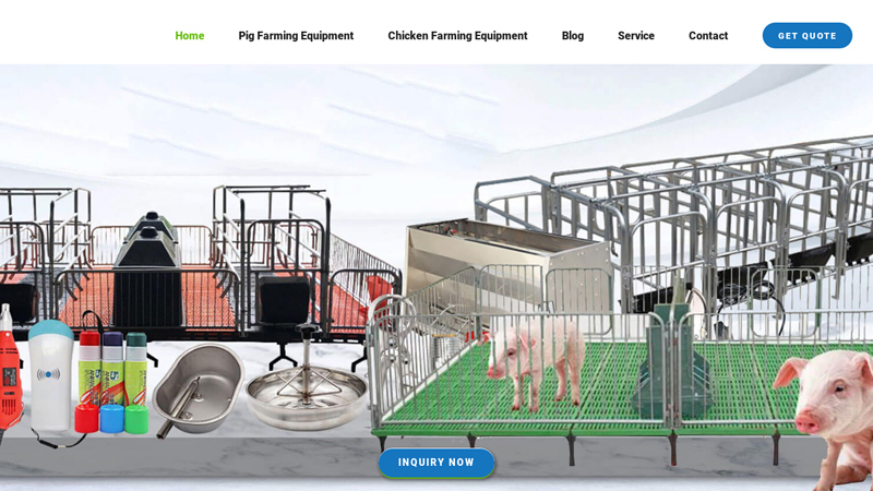 Professional Supplier Of Pig Farming Equipment And Chicken Farming Equipment