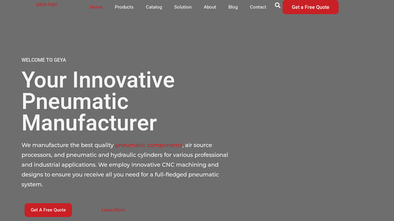 Pneumatic Manufacturer: Valves, Cylinders, & Filters Solution