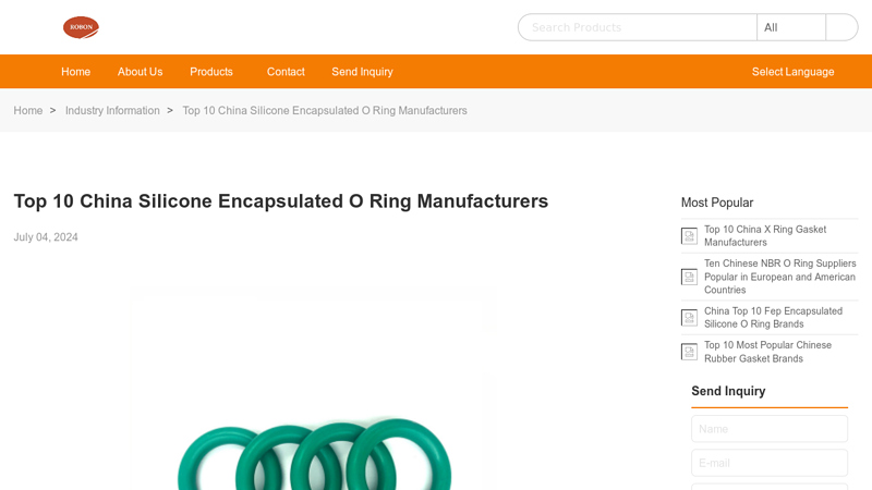 Image of Top 10 China Encapsulated O-Ring Manufacturers