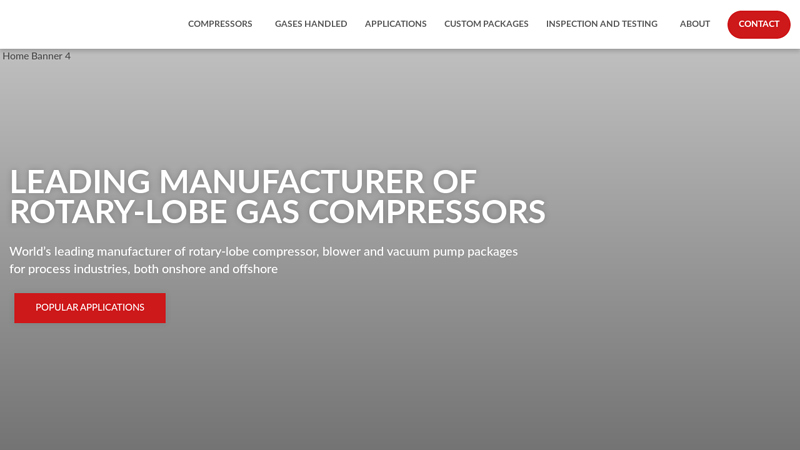 Manufacturer of Rotary-Lobe Gas Compressors - Roots Systems