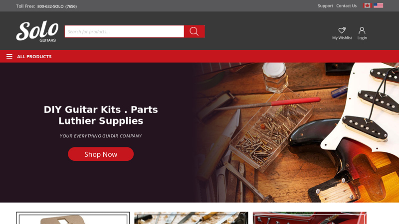 Best DIY Guitar Kits, Guitar Store, Strat Kits Canada