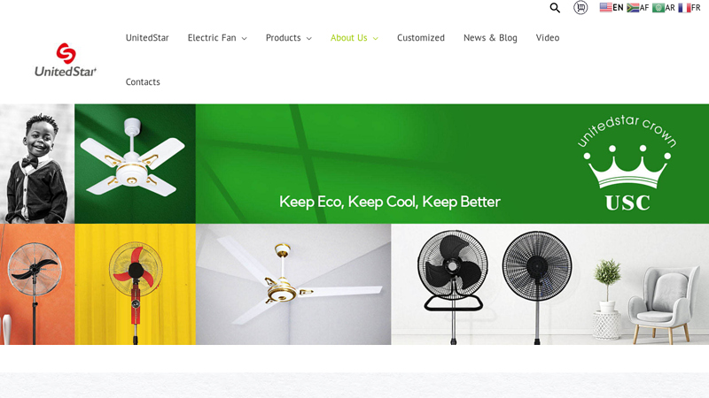 Image of China Electric Fan Manufacturer and Supplier