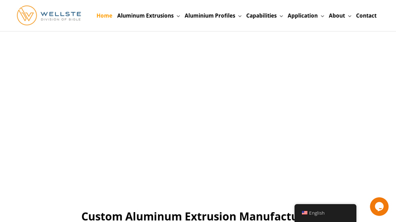 Custom Aluminum Extrusion Manufacturer in China | Wellste