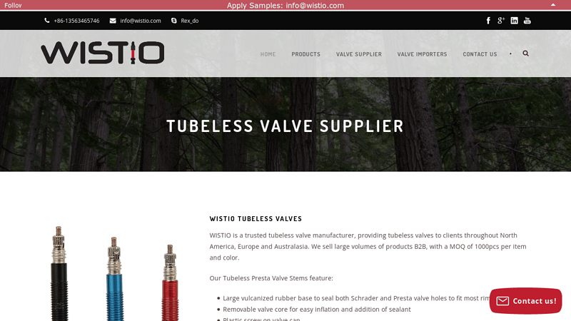 Tubeless valve Supplier - Wistio