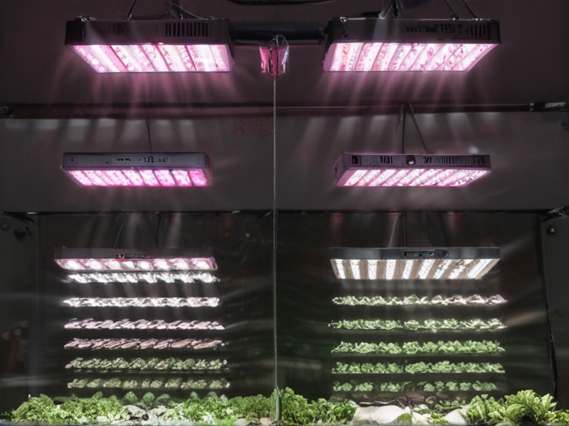 Top Grow Lights Manufacturers Comprehensive Guide Sourcing from China.